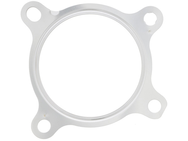 Exhaust Manifold Gasket