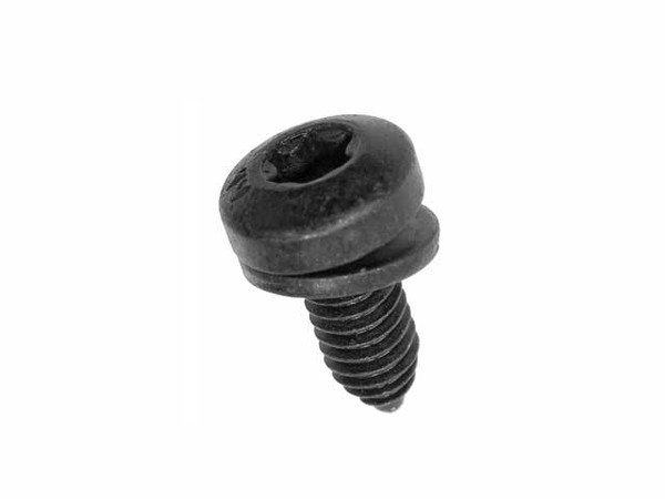 Torx Head Bolt