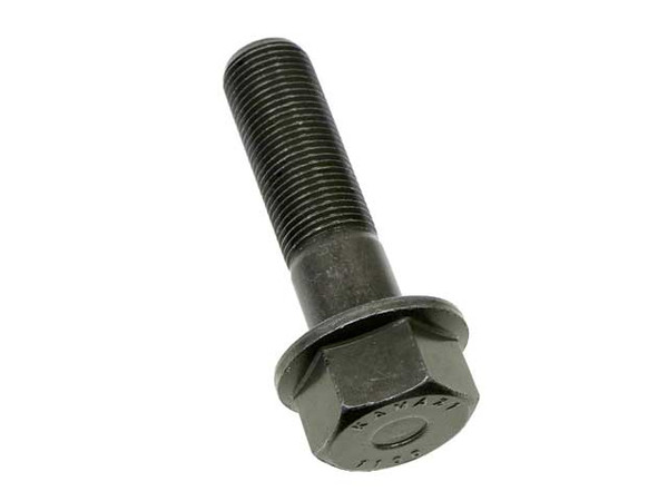 Crankshaft Pulley Bolt