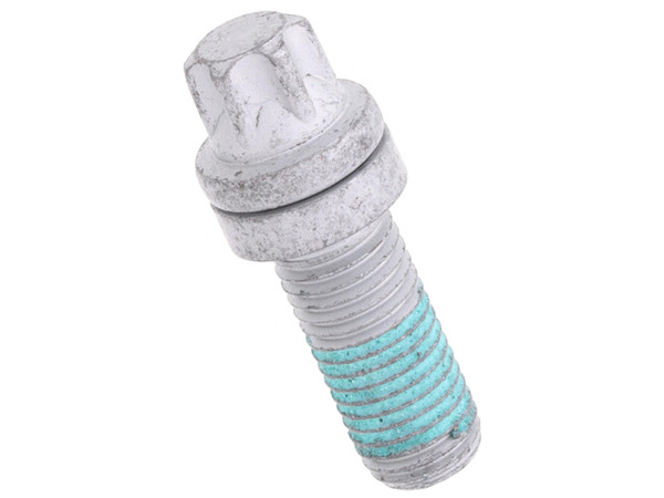 Caliper Bracket Bolt