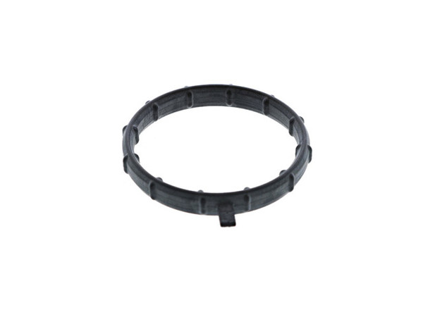 Thermostat Housing Gasket