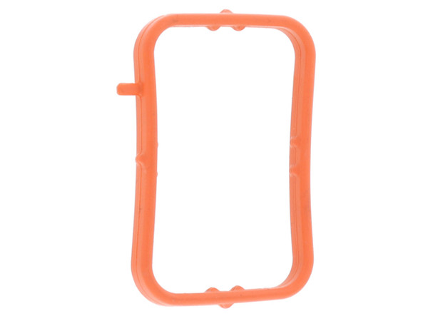 Thermostat Seal
