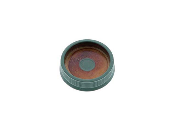 Cylinder Head Plug