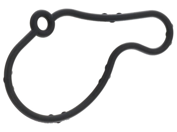 Vacuum Pump Gasket