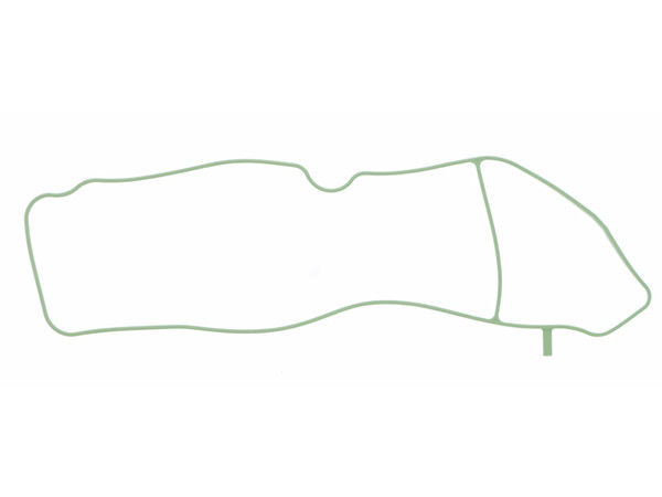 Gasket