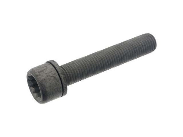 Caliper Bracket Bolt