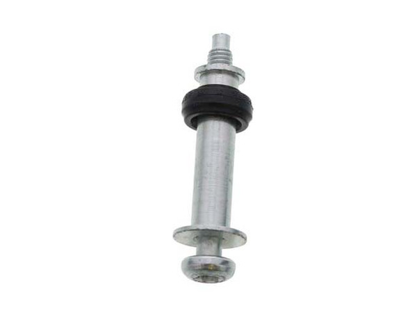 Valve Cover Bolt