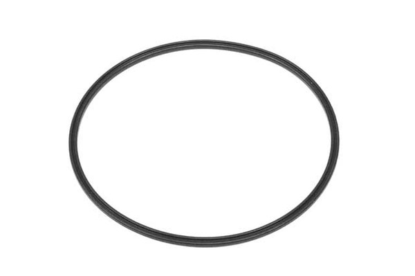 Fuel Pump Seal