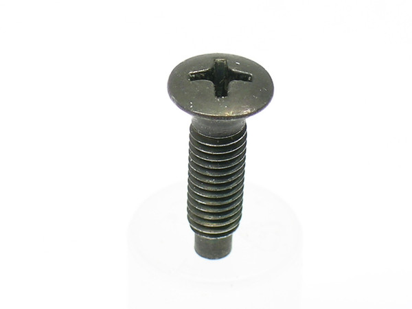 Headlight Rim Screw