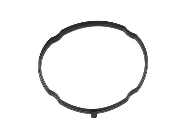 Throttle Body Seal