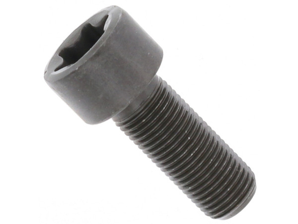 Crankshaft Bolt