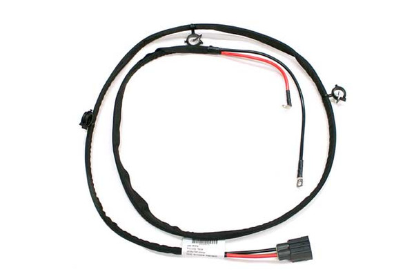 Harness