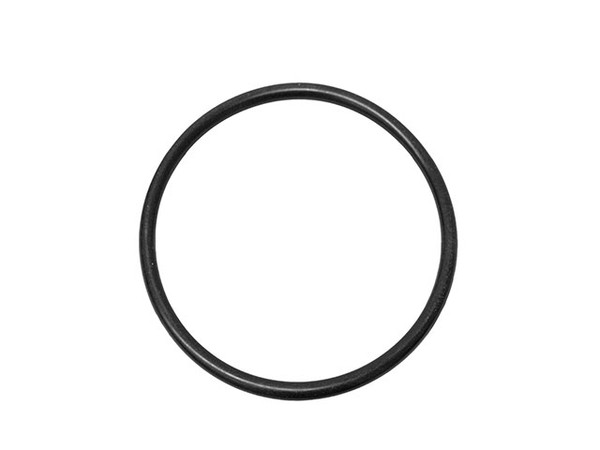 Thermostat Seal