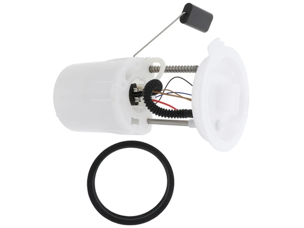 Fuel Pump Assembly