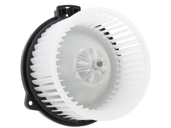 Blower Motor Assembly