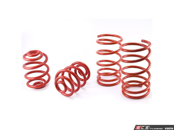 Bavarian Autosport Performance Springs - Set of 4