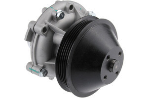 EBC10967.jpg