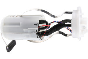 WFX101060.jpg