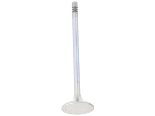 Exhaust Valve