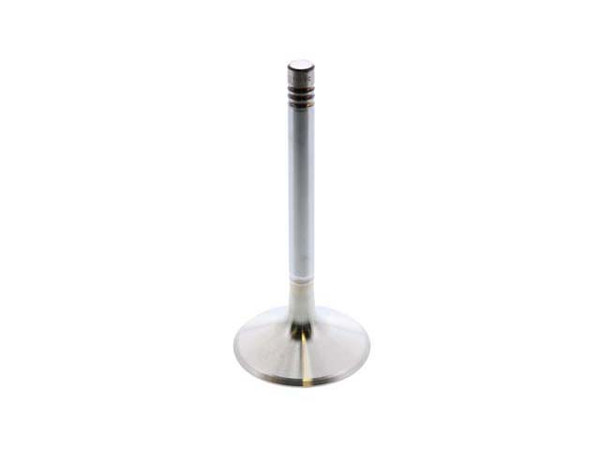 Intake Valve
