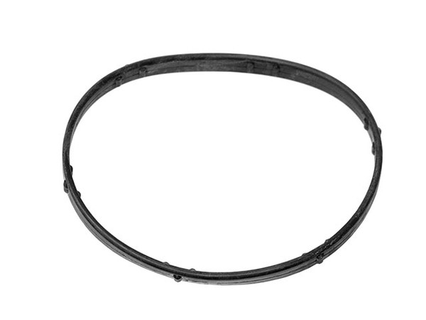 Thermostat Seal