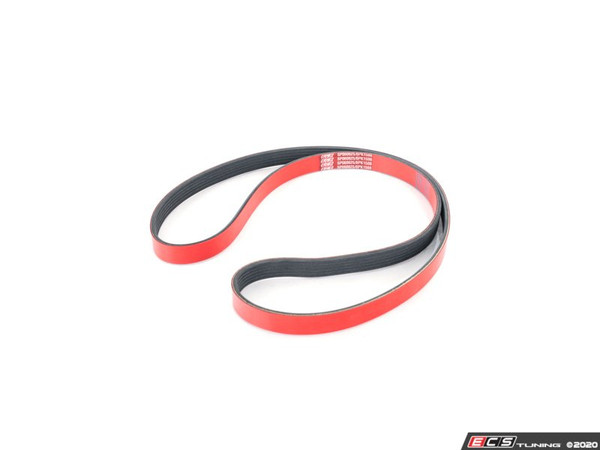 Performance Kevlar Reinforced Accessory Belt | ES3677913