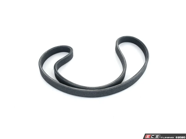 Performance Kevlar Reinforced Accessory Belt | ES3677909