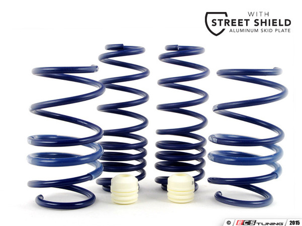 H&R Sport Springs WITH ECS Street Shield