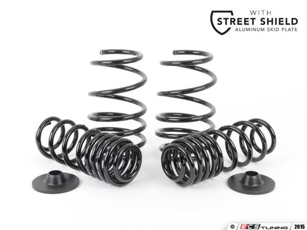 Neuspeed Race Springs - ECS Street Shield