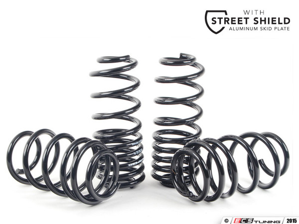 Neuspeed Sport Springs - ECS Street Shield