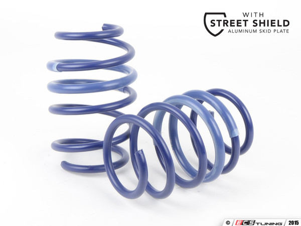 H&R Sport Springs - ECS Street Shield | ES2996696