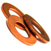 Busch 48403400 GASKET,RING for 0012,0021,0025,0040,0063,0100,0160,0250