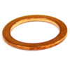 Busch 48405600 GASKET,RING,COPPER for 0021,0025