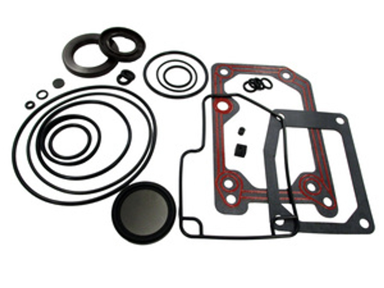 Leybold 71420410 Kit,Seal,Rebuild,SV65B