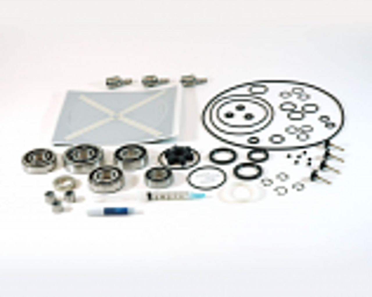 Major Repair Kit for Varian TriScroll 600