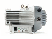 NXDS10i Scroll Pump