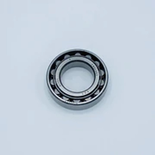 Edwards 20404011 Roller Bearing