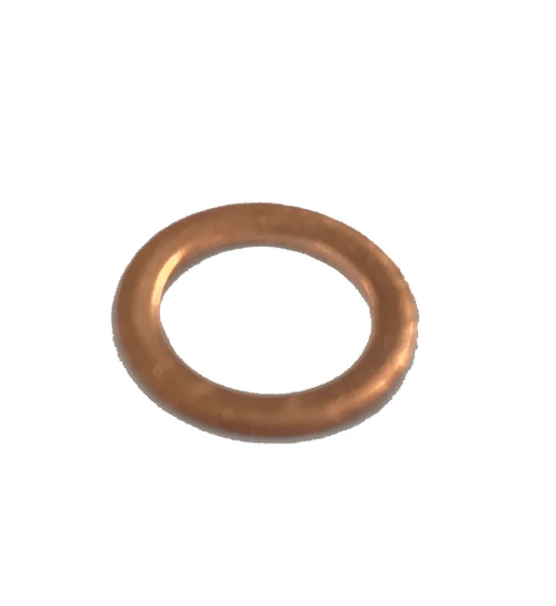 Busch 48401700 GASKET,RING for 0012,0021,0025,0040,0063,0100