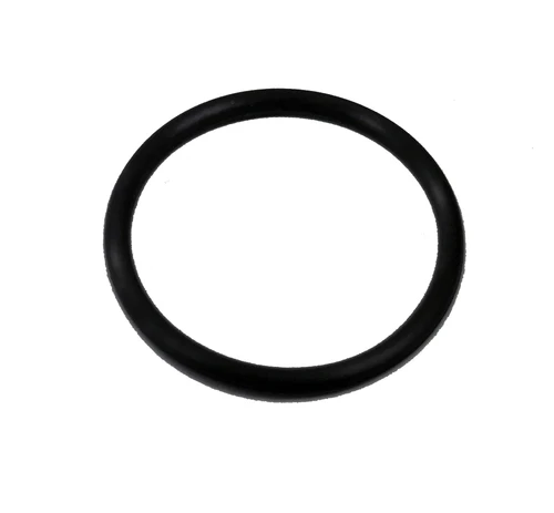 Busch 48650500 O'RING,VITON,22 X 2 MM for 0012,0021,0025,0040
