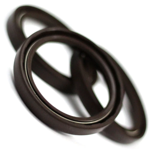 Leybold 23953423 SEAL,SHAFT,VITON for E75,E150,E250,DK100,DK200