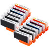 Compatible Canon 230 and 231 Ink - High Yield (2 PGI Black, 2 CLI Black, 2 Cyan, 2 Magenta, 2 Yellow, 2 Gray) 12-Pack