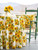 Sunflower Valley Round Cloth - Ecru