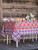 Chicken at Home Tablecloth - Red