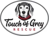 Touch of Grey Rescue