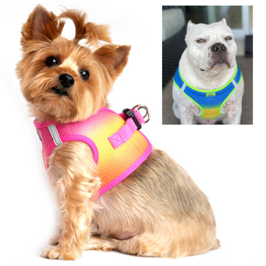 DOGGIE DESIGN American River Hundegeschirr – Würgefrei, Ombre-Farbverlauf, Größe XS