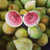 Fresh Local Figs from Moama, NSW