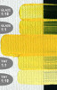GOLDEN OPEN Slow-Drying Acrylic Paint, CP Cadmium Yellow Medium, 2oz