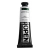 GOLDEN OPEN Slow-Drying Acrylic Paint, Jenkins Green, 2oz