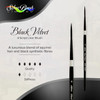 Silver Brush Black Velvet Blend Watercolor Sh Script Liner 4 