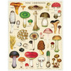 MACPHERSON'S Vintage Inspired 1000 Piece Puzzle, Mushrooms 